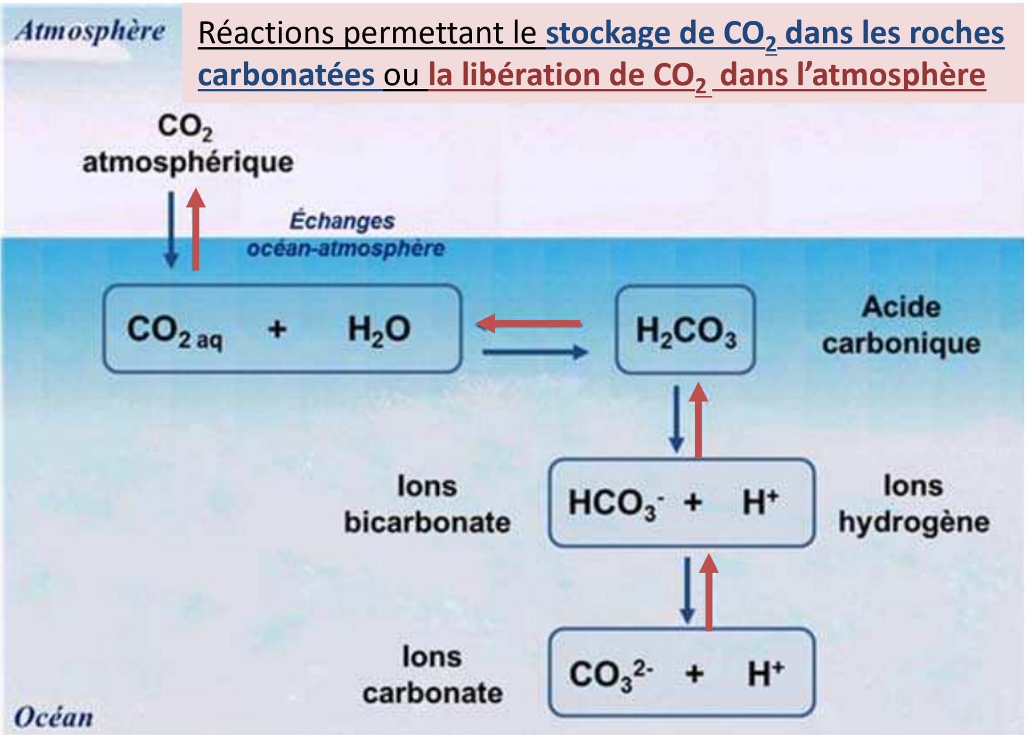 Chapitre 1 - L'atmosphère Terrestre Et La Vie - SVT