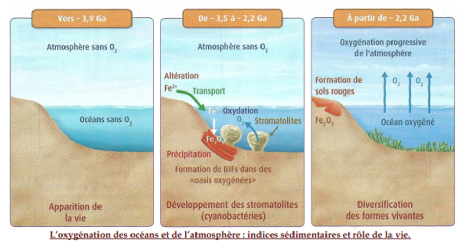 Chapitre 1 - L'atmosphère terrestre et la vie - SVT